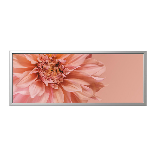IKEA BJÖRKSTA picture and frame Model Image