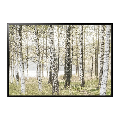 IKEA BJÖRKSTA picture and frame Model Image